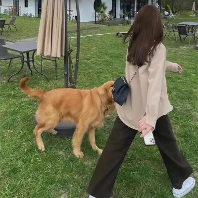 六号病房